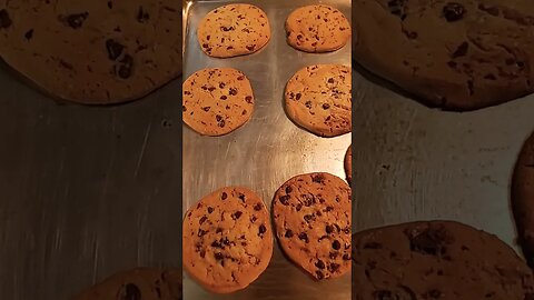 Fresh Baked Chocolate Chip Cookies