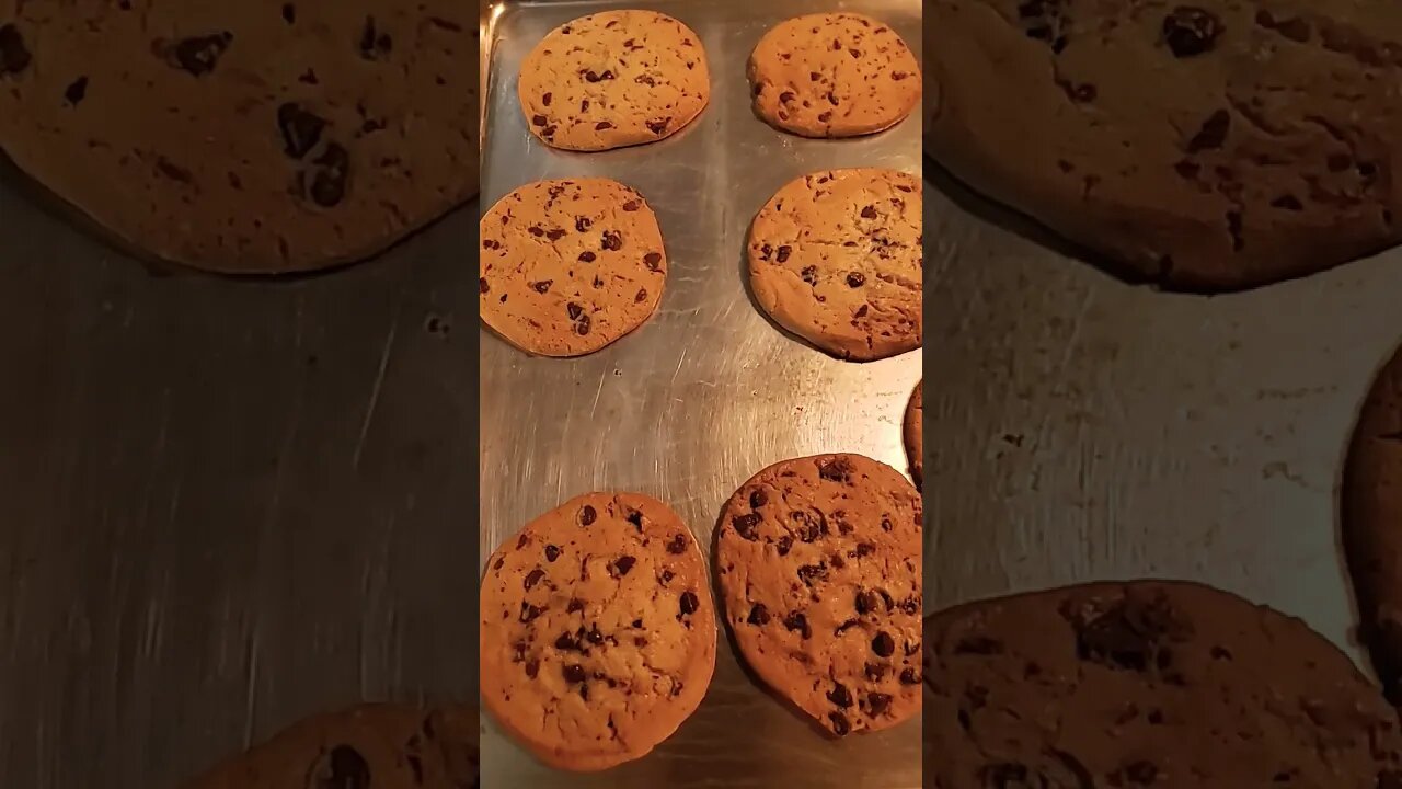 Fresh Baked Chocolate Chip Cookies