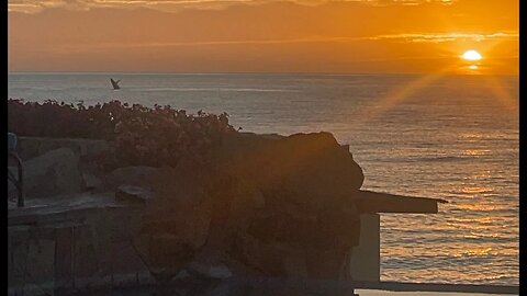 Cabo San Lucas Whale Sighting at Sunrise