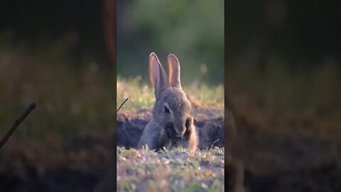 Good morning my friends! ❤️