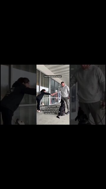 s simple walk - or complex - or both at the same time... #dog