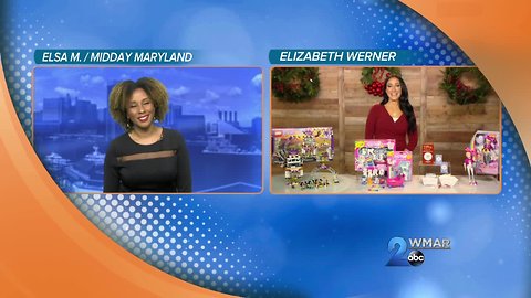 Elizabeth Werner - Hot Holiday Toys