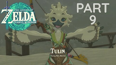 Zelda tears of the kingdom - Tulin's quest