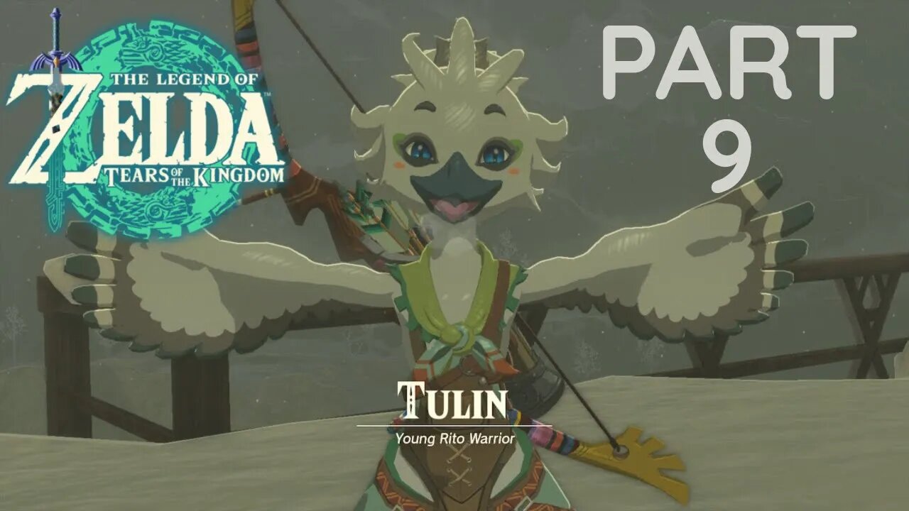 Zelda tears of the kingdom - Tulin's quest