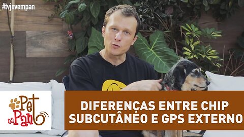 Pet na Pan #35 - Diferenças entre chip subcutâneo e GPS externo