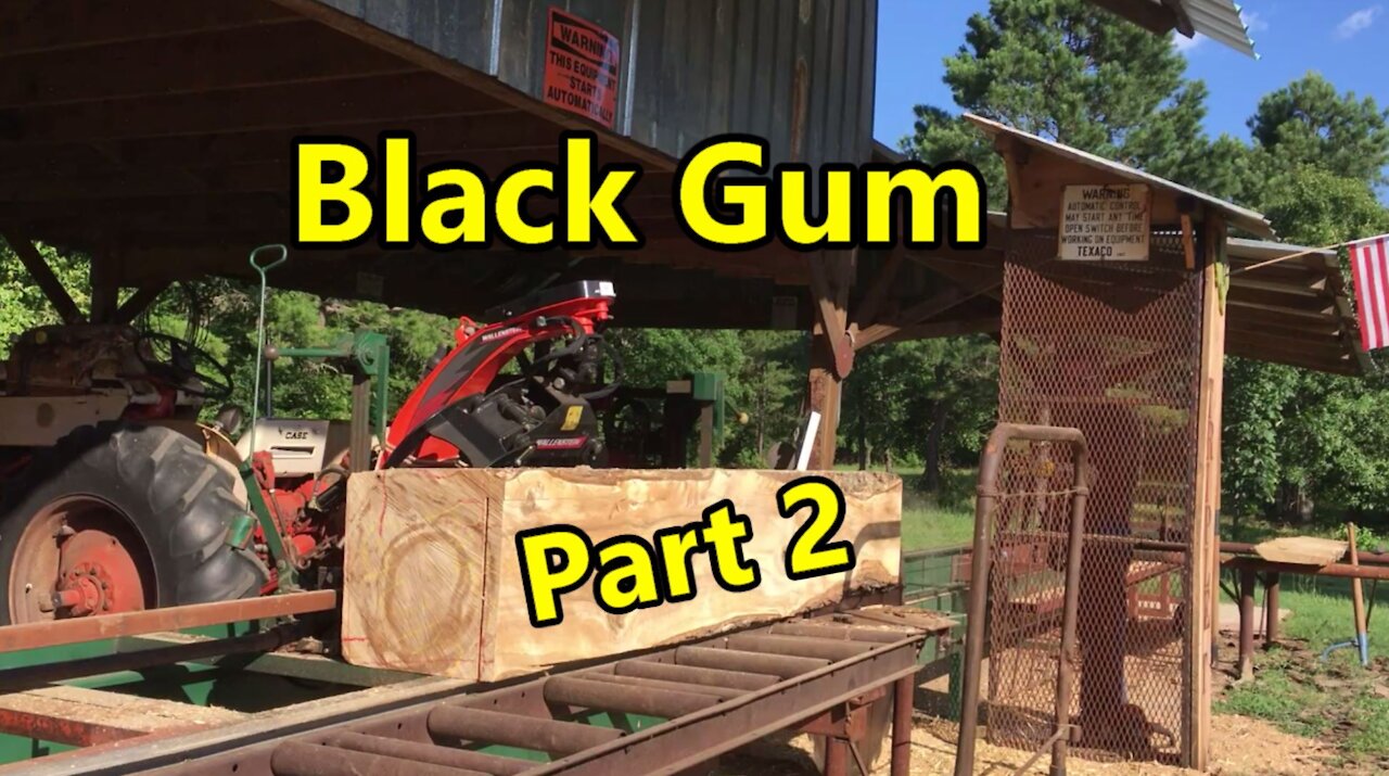 Sawmill Black Gum Part 2