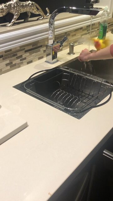 Candy the Lorikeet? Taking a bath