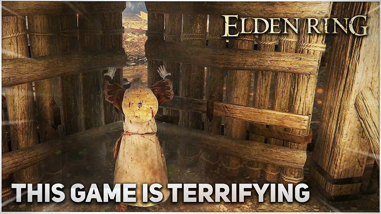 Just another Elden Ring playthrough