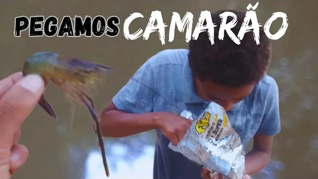 encontramos camarões na beira de um rio😱😱😱😱😱