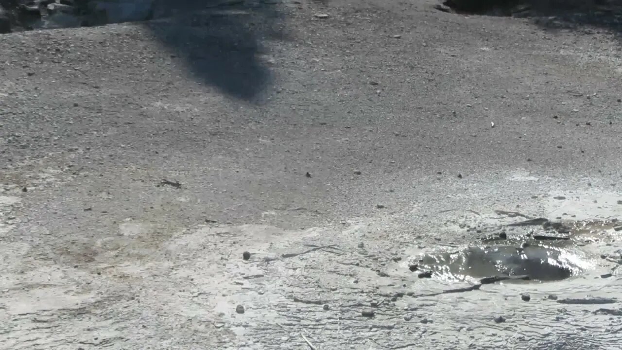 In the Norris Geyser Basin