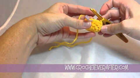 Single Crochet Tutorial #13: Decrease in the Round