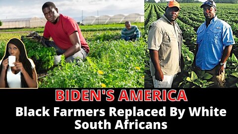 Black Farmers Sue For Being Replaced By White Foreign Workers