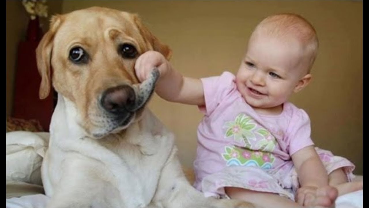 Baby and Dog Playing Together