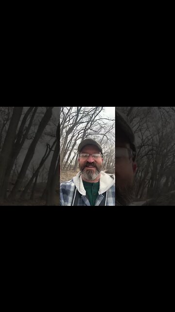 Bald Eagle - Video & Photo #wildlifephotography