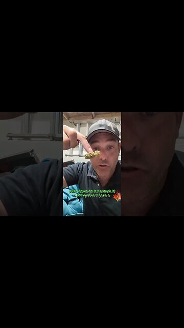 Dykstra Greenhouse Animal Face a Legal Canadian Cannabis purchase from 418 Richmond Rd Ottawa Canada