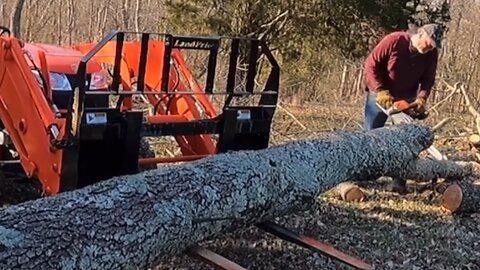 Tractor Overload with Big Cherry Tree and Kubota Tractor