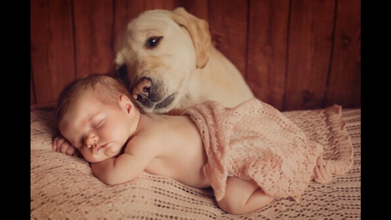 BEBÊ CRESCE AO LADO DE CACHORRO E ENCANTA A WEB