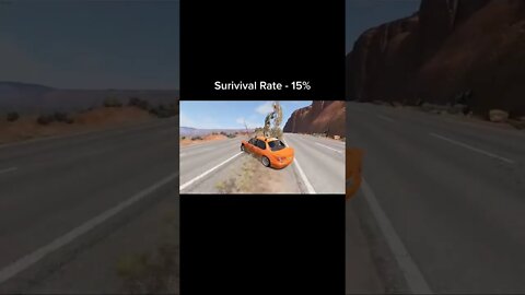 Survival rate / BeamNG DRIVE