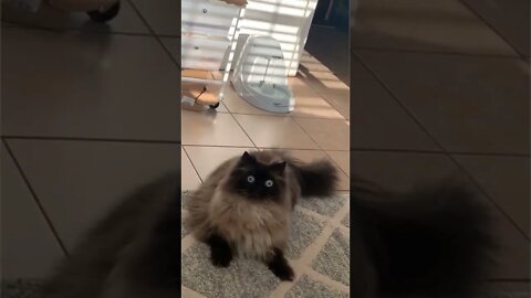 What was that?