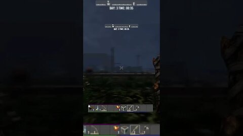 Bear Vs Zombie