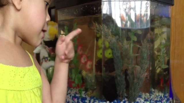 A Little Girl Tot Struggles To Say The Word "Fish"