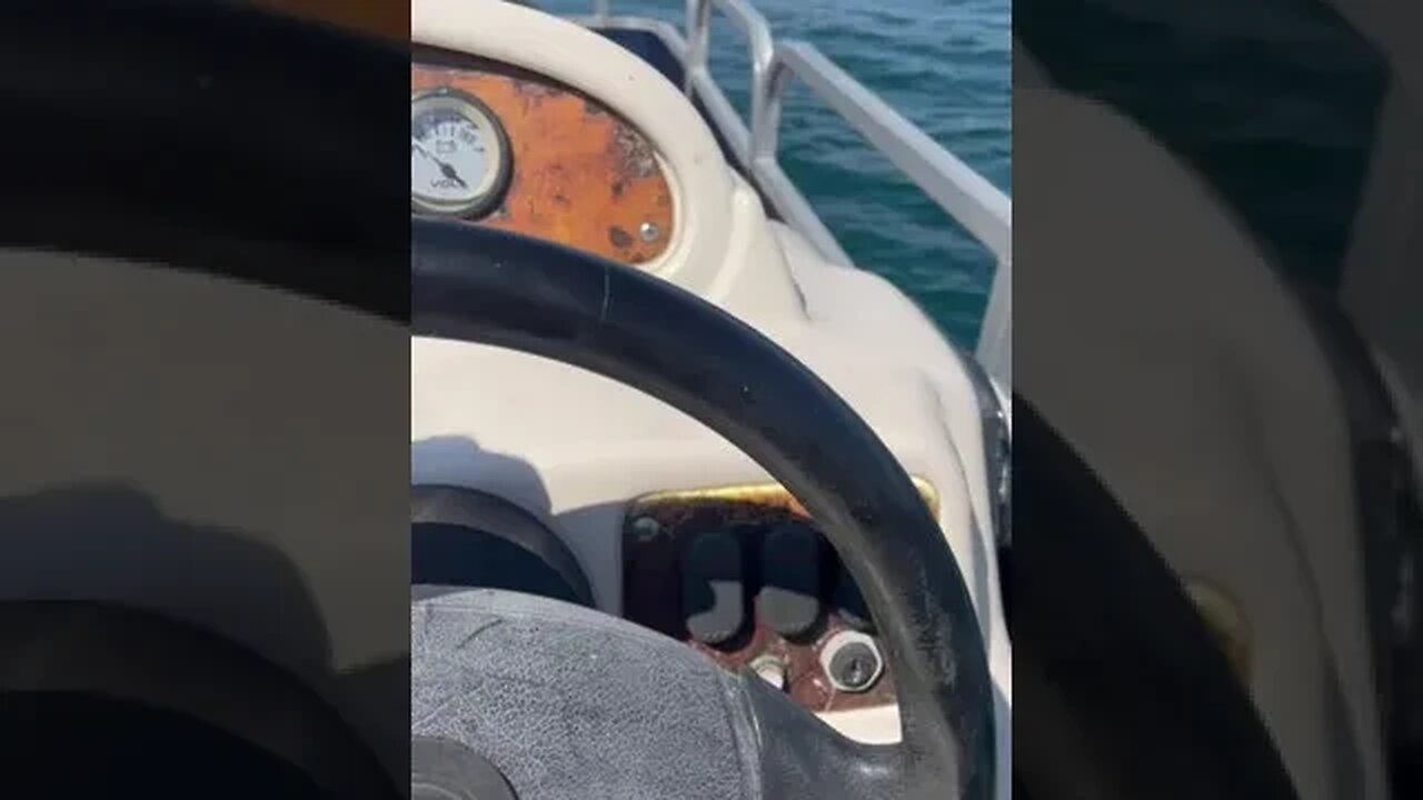 Pontoon Driftin 🚤🎣🤣 #lemmedrivetheboat #pontoonboat #pontoon #fishing #boating
