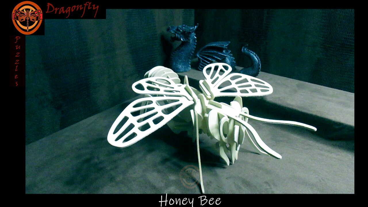 Honey Bee