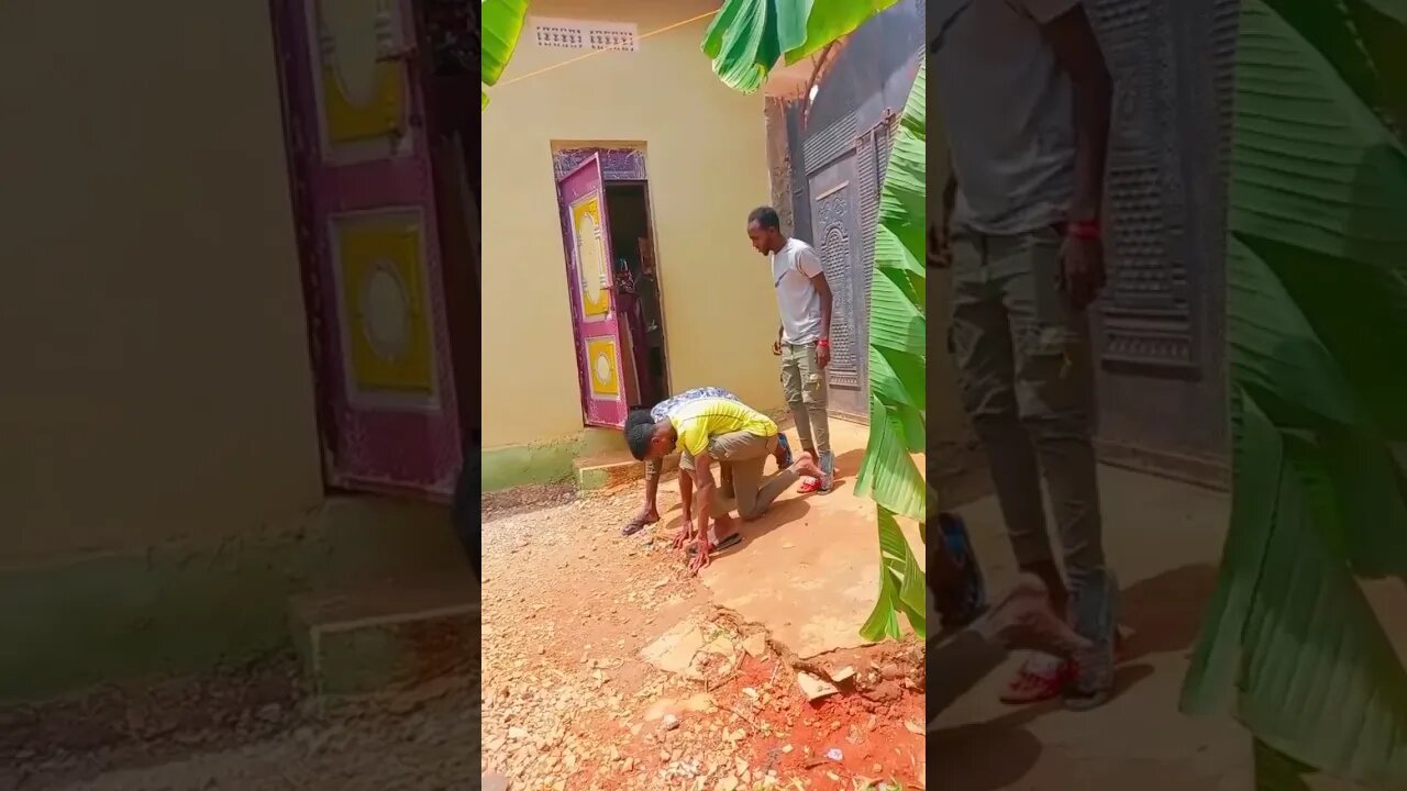 funny video kk