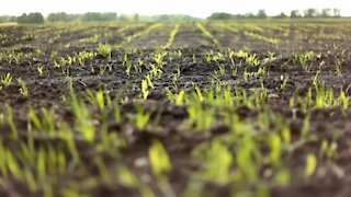 Shift in four seasons means new policies for agriculture, health