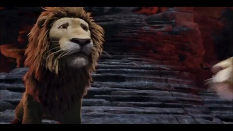 Wild Cartoon##@@😂😂😂