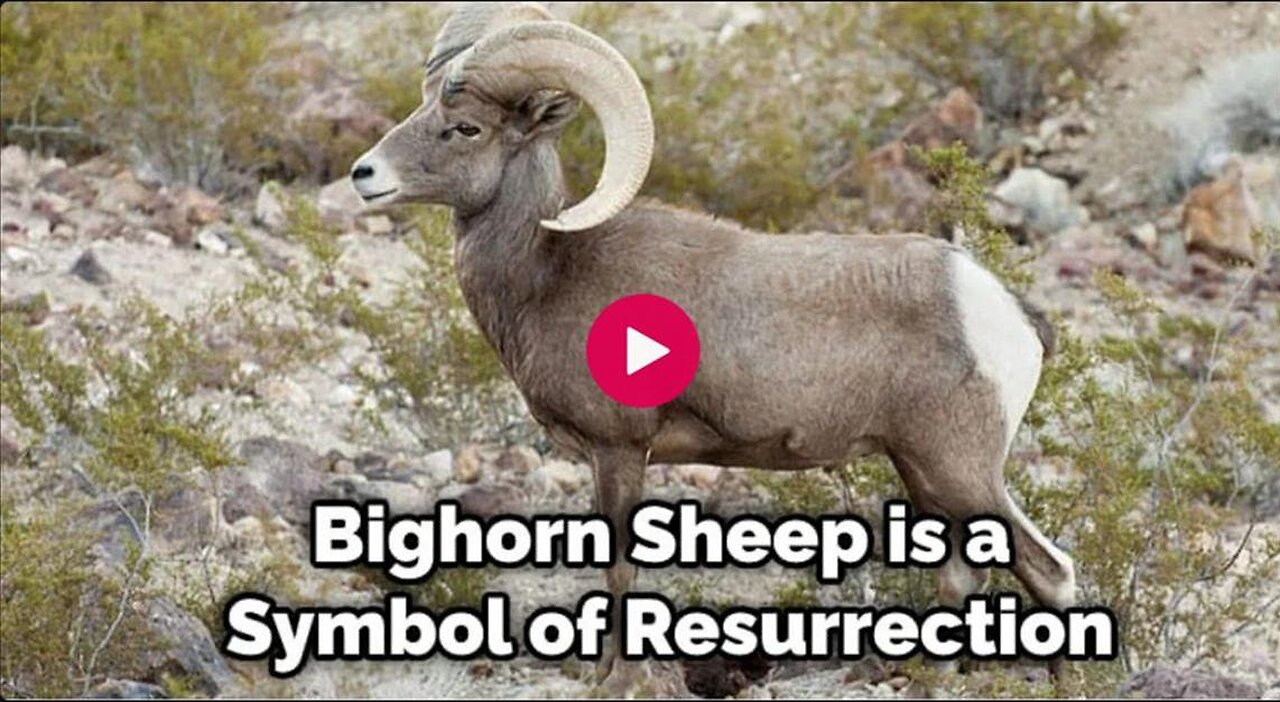 After a Simple Analysis,, From a BIBLICAL Perspective, Are We Witnessing the Call of GOD's Sheep ?