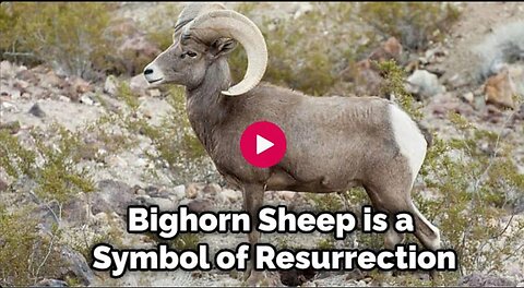 After a Simple Analysis,, From a BIBLICAL Perspective, Are We Witnessing the Call of GOD's Sheep ?