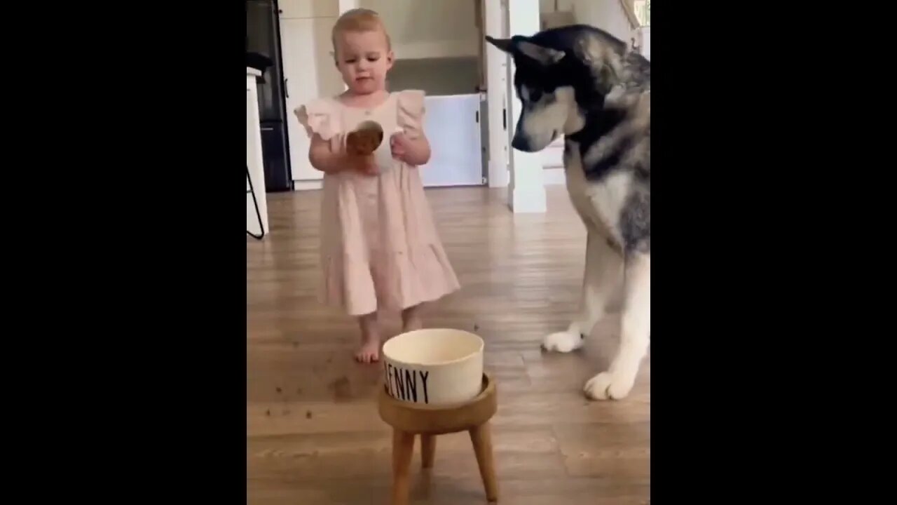 Dog is like: “Seriously?” 😂 #shorts