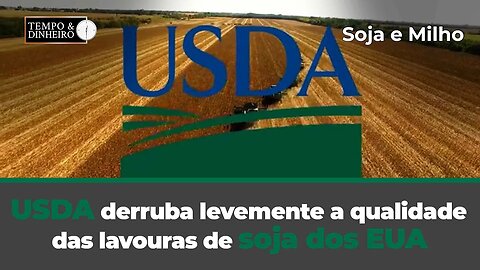 USDA derruba levemente a qualidade das lavouras de soja dos EUA.