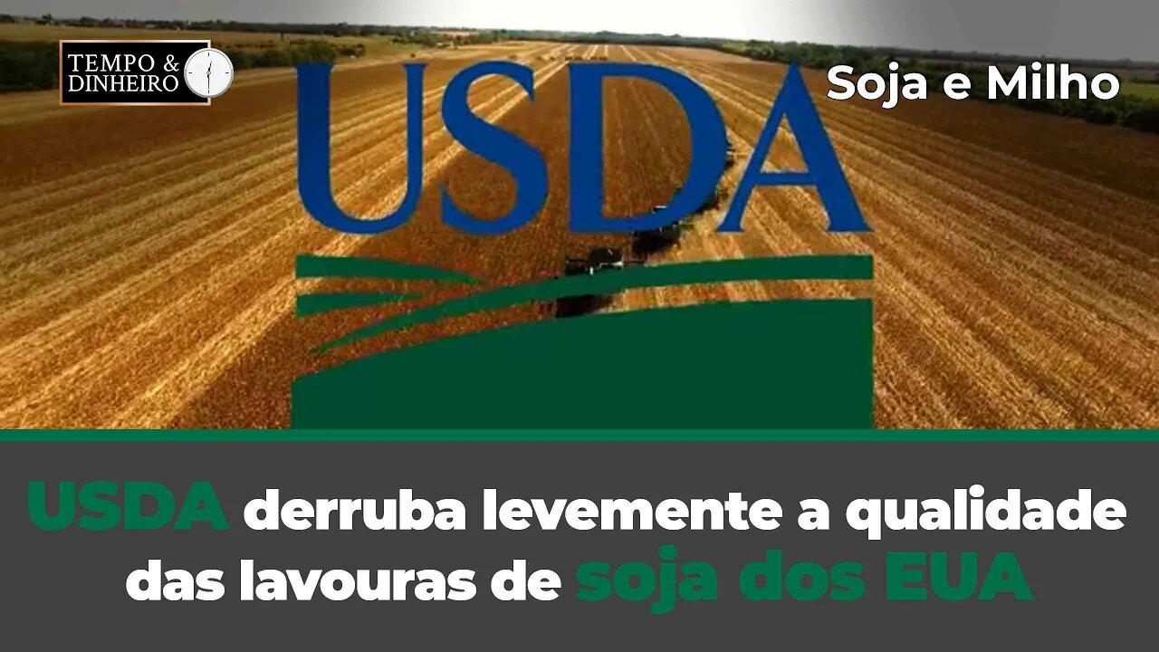 USDA derruba levemente a qualidade das lavouras de soja dos EUA.