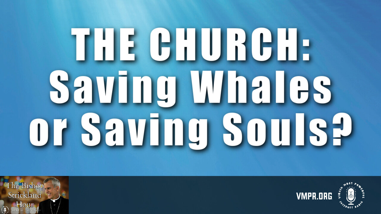 25 Jun 24, The Bishop Strickland Hour: The Church: Saving Whales or Saving Souls?