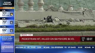 Pedestrian dies at hospital after being hit by truck and then thrown into water along Bayshore Blvd.