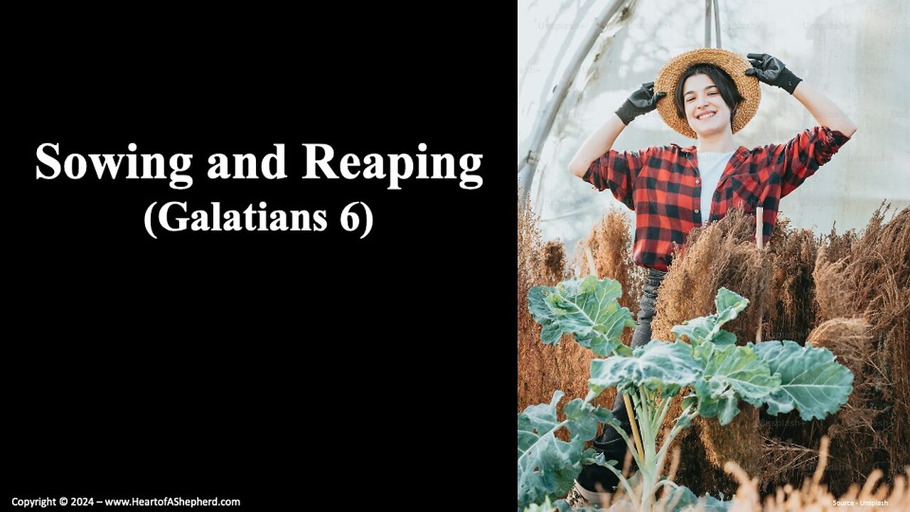 Sowing and Reaping (Galatians 6)