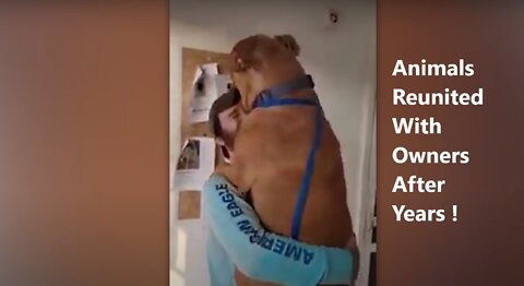 Animals Reunited With Owners After Years !