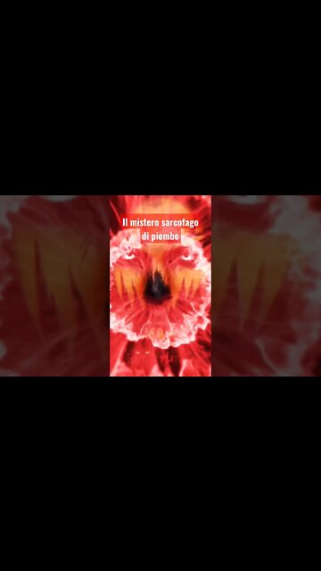 Il misterioso sarcofago antropomorfo trovato a Notre Dame #sarcofago #mistero