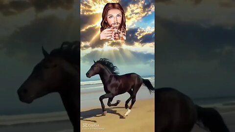 Lord Jesus guided me