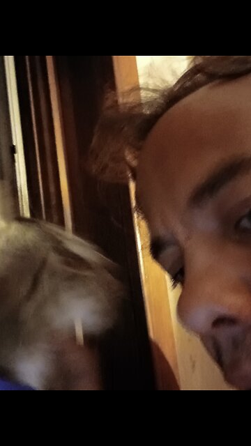 Newtons have the tiniest ***