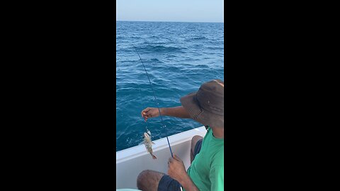 Fishing in the Sea #KSA#Jubail#