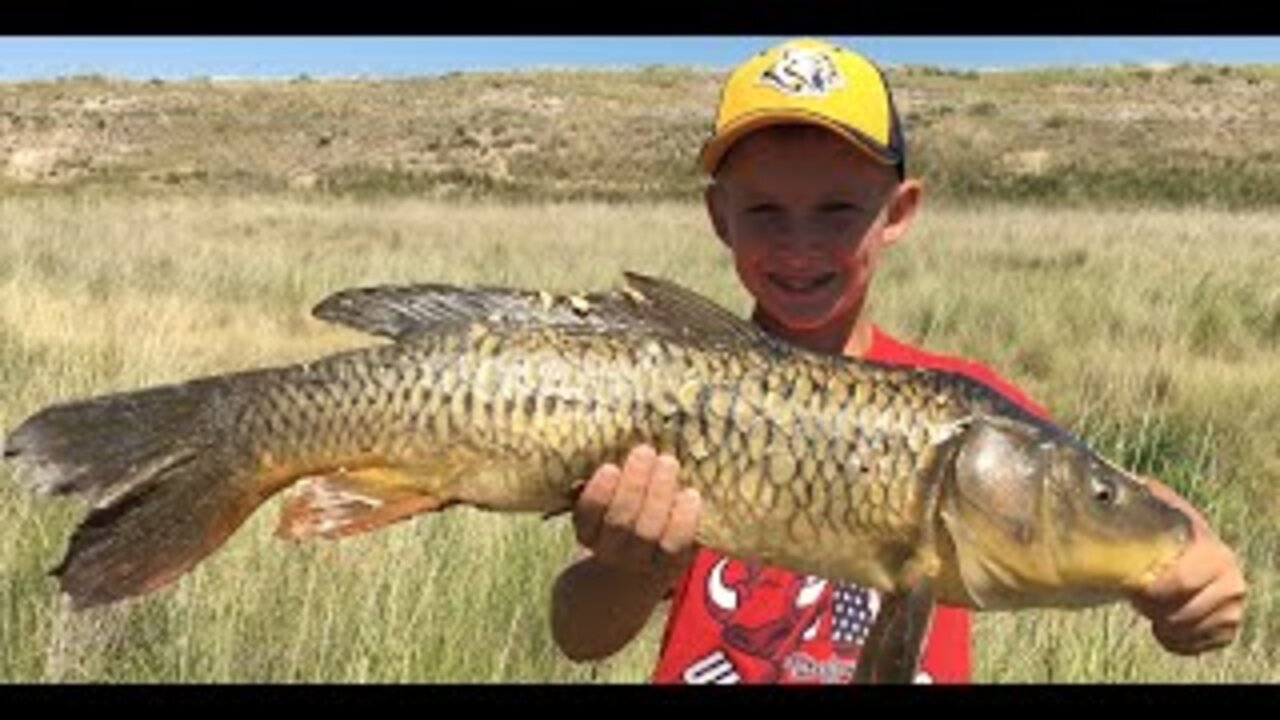 Big Carp with Mini Crossbow