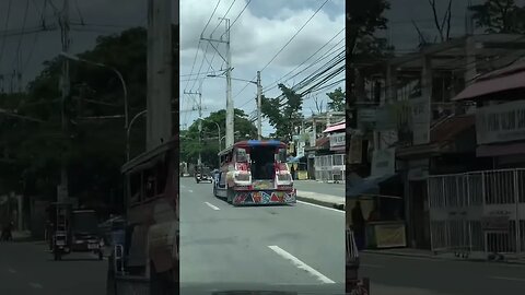 Jeepney on the Highway #shortvideo #shortsvideo #shortsfeed #travel #shorts #short #travel