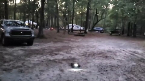 Hosim X07 - Perfect Entry Level RC for ALL ages! Super Fast!