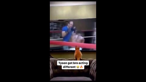 funny video