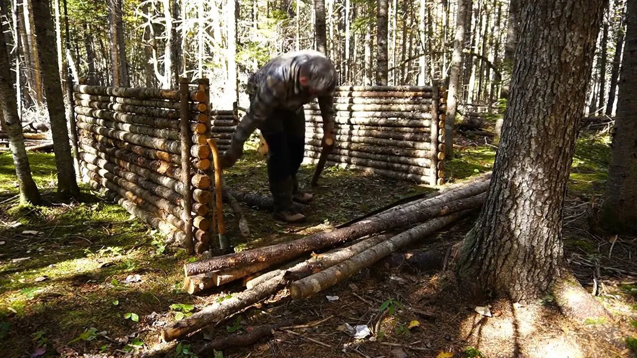 6+The jungle builds a survival cabin