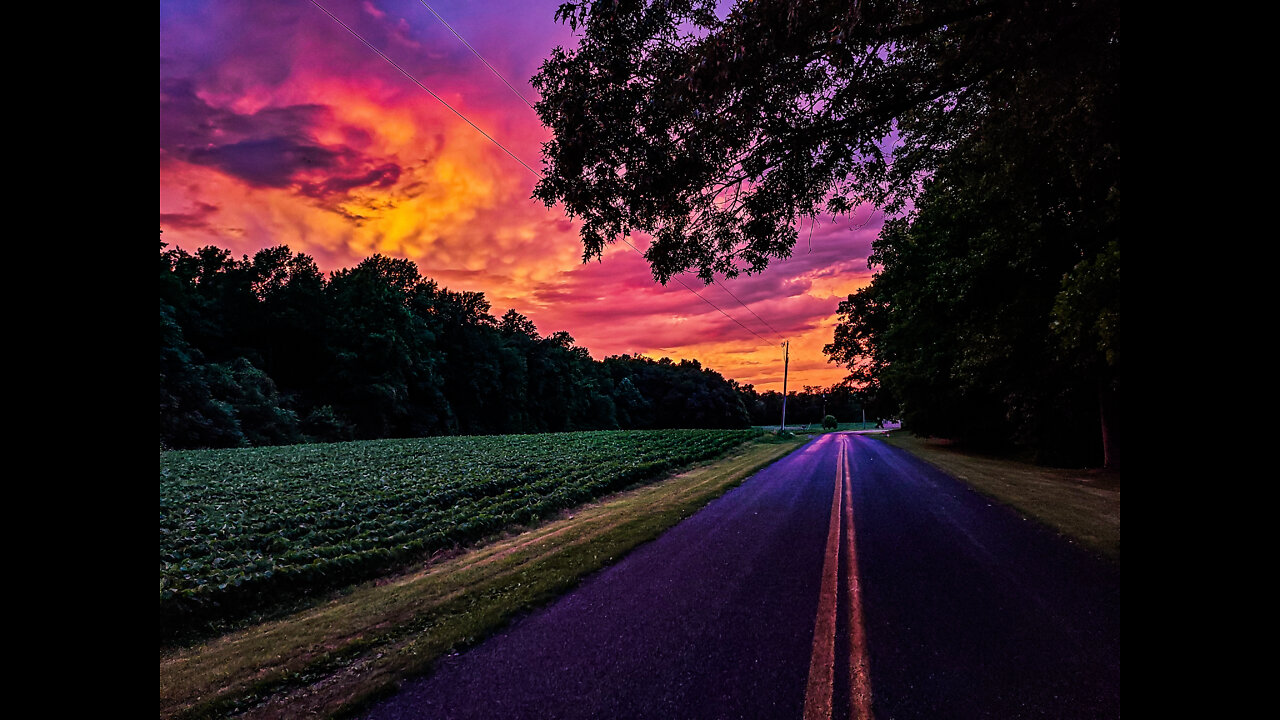 A Summer Week In Pictures