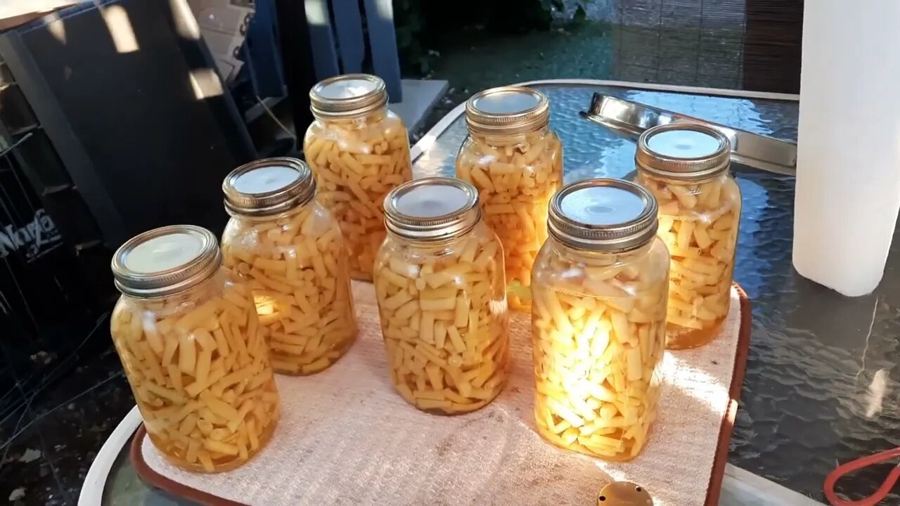 CANNING BEANS in my #HillbillyKitchen